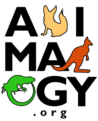 Image for event: Animalogy